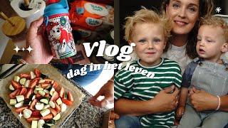 VOORBEREIDING OP SINGLE MOM LIFE  Dag in het leven met dreumes en kleuter! Boodschappen shoplog