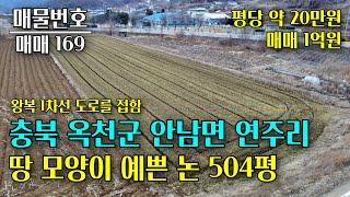 충북 옥천군 안남면 논 504평 매매, 직사각형 모양이며 도로를 접하여 경작하기 좋은 농지 충북 부동산 - 이태호 공인중개사