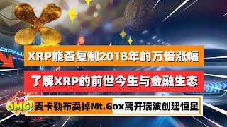 XRP能否复制2018年的万倍涨幅｜了解XRP的前世今生与金融生态｜币圈传奇麦卡勒布卖掉Mt.Gox离开瑞波创建恒星｜未来之声HuanTV