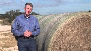 Animal Science: Hay Considerations - AgSmart.tv