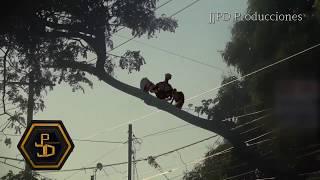 Come on, really! Flying Gargoyle capture on video in Nicaragua?