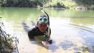 Wildpics Out  and About: snorkeling in the Vidourle River