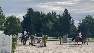 LORDIN (6yo Lord Pizarro) 08.20 Öpfingen - SPF A** WN8,8 1. Platz