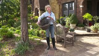  Linda Vater Shares Her Basket Tip 