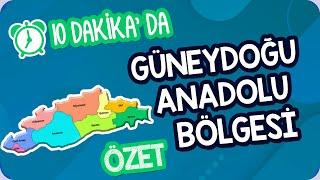 10 Dk'da Güneydoğu Anadolu Bölgesi | AYT Coğrafi Bölgeler