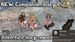 [TOS] NEW Companion Baby Pig (Adventure diary reward)