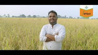 Success Story of Rice Farmer: Arize 6585 ST - Best Paddy Seed for High Profit! | Bayer