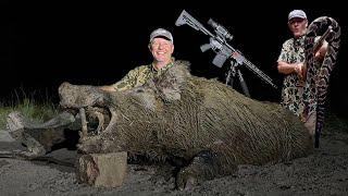 Bit by RATTLESNAKE and big CUTTER boar with AGM thermal.