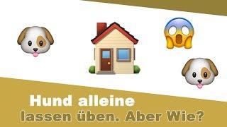 Wie bringe ich meine  bei alleine zu Haus zu bleiben 