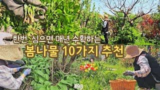 sub) Delicious 10 spring greens that we can enjoy right now. Easy to grow, Making Korean dishes