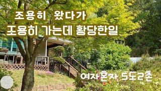 50대1인가구 브이로그/황당한일/시골집 벌레안오게 하는방법