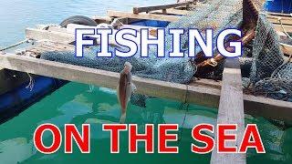 FISHING ON THE SEA | BKB VLOGS | BKB Travel