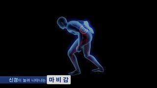 자생한방병원이 알려주는 척추관협착증 원인·증상·치료법