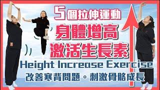 神奇的增高拉伸運動｜長高有辦法！｜Height Increase Exercise