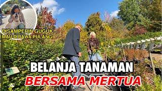 BELANJA TANAMAN DI BELANDA | NEMENIN MERTUA KE TOKO TANAMAN DI DESA BELANDA