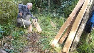 Harvesting  the Woodland