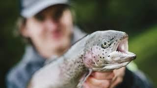 Trout- Action- Trailer