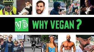 Why you should go Vegan