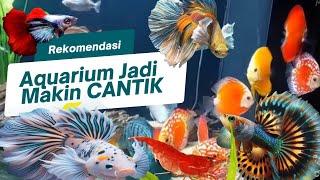 RECOMMENDATIONS FOR SMALL FRESHWATER ORNAMENTAL FISH SUITABLE FOR AQUARIUMS