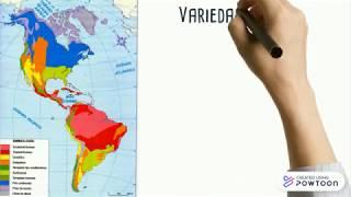 Paisajes de América - Historia, Geografía y Ciencias sociales| 4° Básico