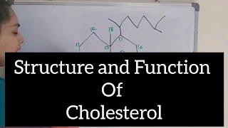 Structure  and  Function  of  Cholesterol