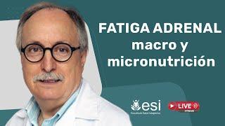  FATIGA ADRENAL: MACRO y MICRONUTRICION. [Dr. Domingo Pérez León]