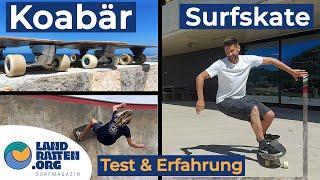 #Koabär #Surfskate Test und Review 2022 ‍️! #Erfahrungsbericht!