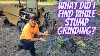 What did I find while stump grinding?