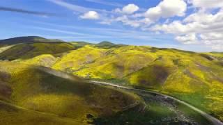 California Wildflower Super Bloom by drone 2019: Carrizo Plain, Antelope Valley [4K]