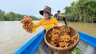 Have you ever seen this fruit before? - Harvest wildfruit and cooking - Country chefs