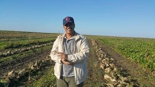 Film Realisé par la sucrerie Cosumar au Maroc dans