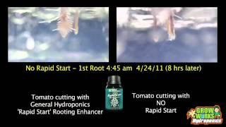 General Hydroponics RapidStart - Rooting Accelerator