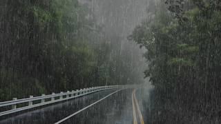 Lluvia Relajante para Dormir Profundamente - Adiós Insomnio en 3 Minutos con Lluvia en el Techo