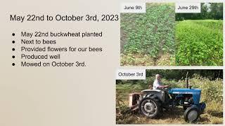 Buckwheat Timeline