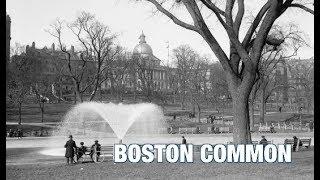 The Boston History Project: Boston Common with Anthony Sammarco