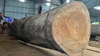 Factory Wood Processing - Operating Extra Large Saws, Wood Saw Machine Works Fastest