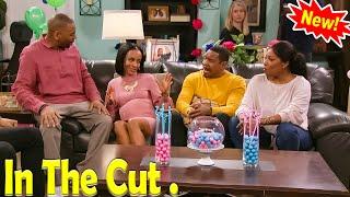 New In The Cut 2024  The Big Reveal - Full Season Best Comedy American Sitcom 2024