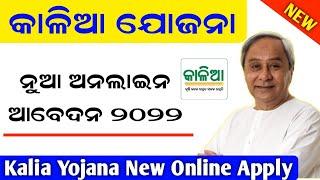 kalia yojana New Online Apply 2022 // Kalia Yojana online apply // Kalia yojana new grievance