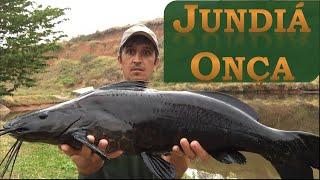 # 20 O Peixe jundiá onça