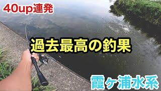 【8月】自分史上最も釣れた日in霞ヶ浦水系【バス釣り】