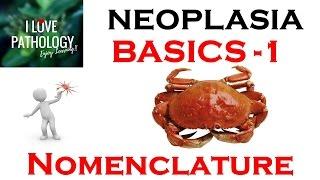 NEOPLASIA-1: BASICS: Nomenclature: Benign, Malignant, Mixed tumors, teratoma,Hamartoma, choristoma