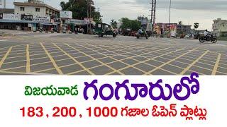 Ganguru Ganguru vijayawada 200 , 250 , 1000 , Sq Yad Open Plots For Sale At Ganguru Vijayawada