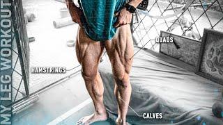 My LEG Workout (2022): Quads, Hamstrings & Calves