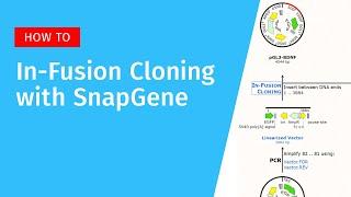 In-Fusion Cloning with SnapGene