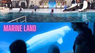 Marine Land Full Tour| Marineland Park | Best Things to Do in Marineland | Attractions In Marineland