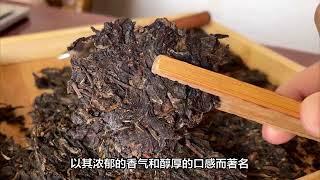 普洱茶的产地在哪？有哪些有名的产地