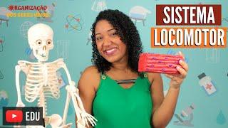 Sistema Locomotor Ep. 11