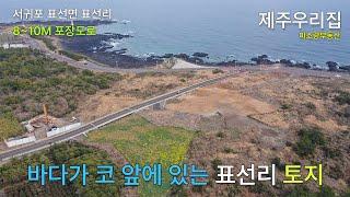 제주도 토지 매매 바다 바로 앞, 2차선 도로까지 있는 표선리 토지 매물