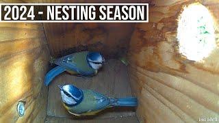 2024 Nesting season BEGINS - What Birds are interested in the nest box ??