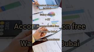 Accountant job vecancy in Dubai #funny #video